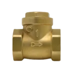WSK CV01  Brass, 1 inch swing check Valve