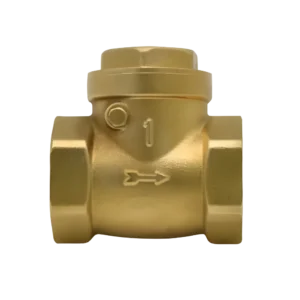 WSK CV01  Brass, 1 inch swing check Valve