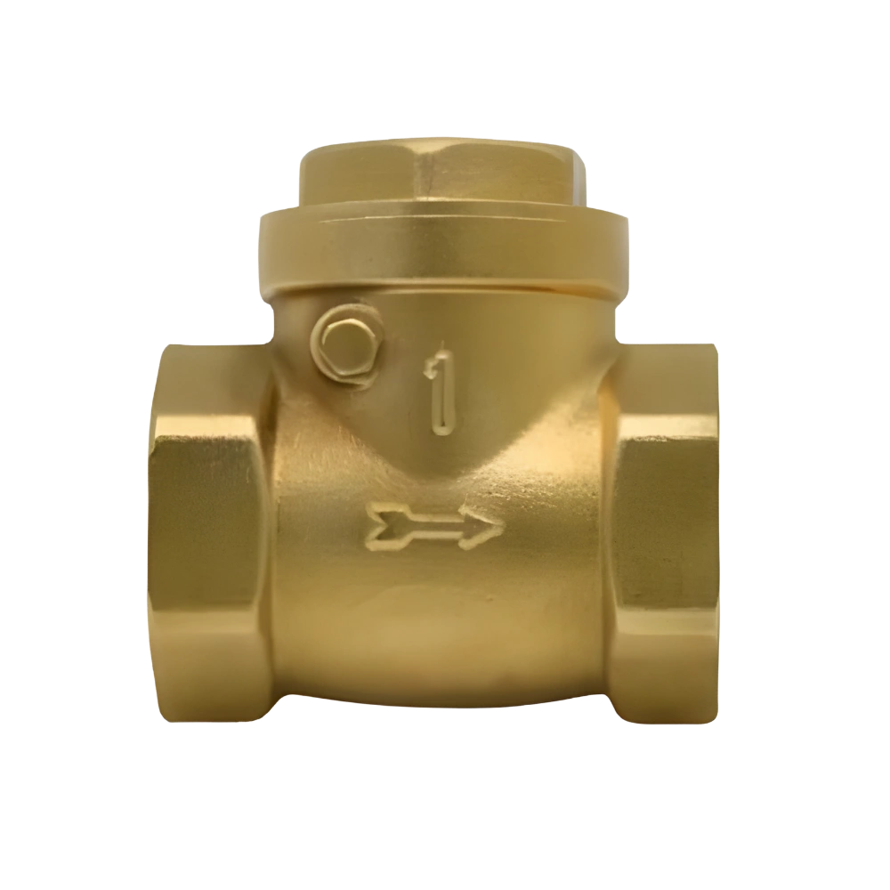 WSK CV01  Brass, 1 inch swing check Valve