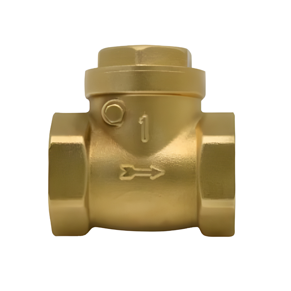 WSK CV01  Brass, 1 inch swing check Valve