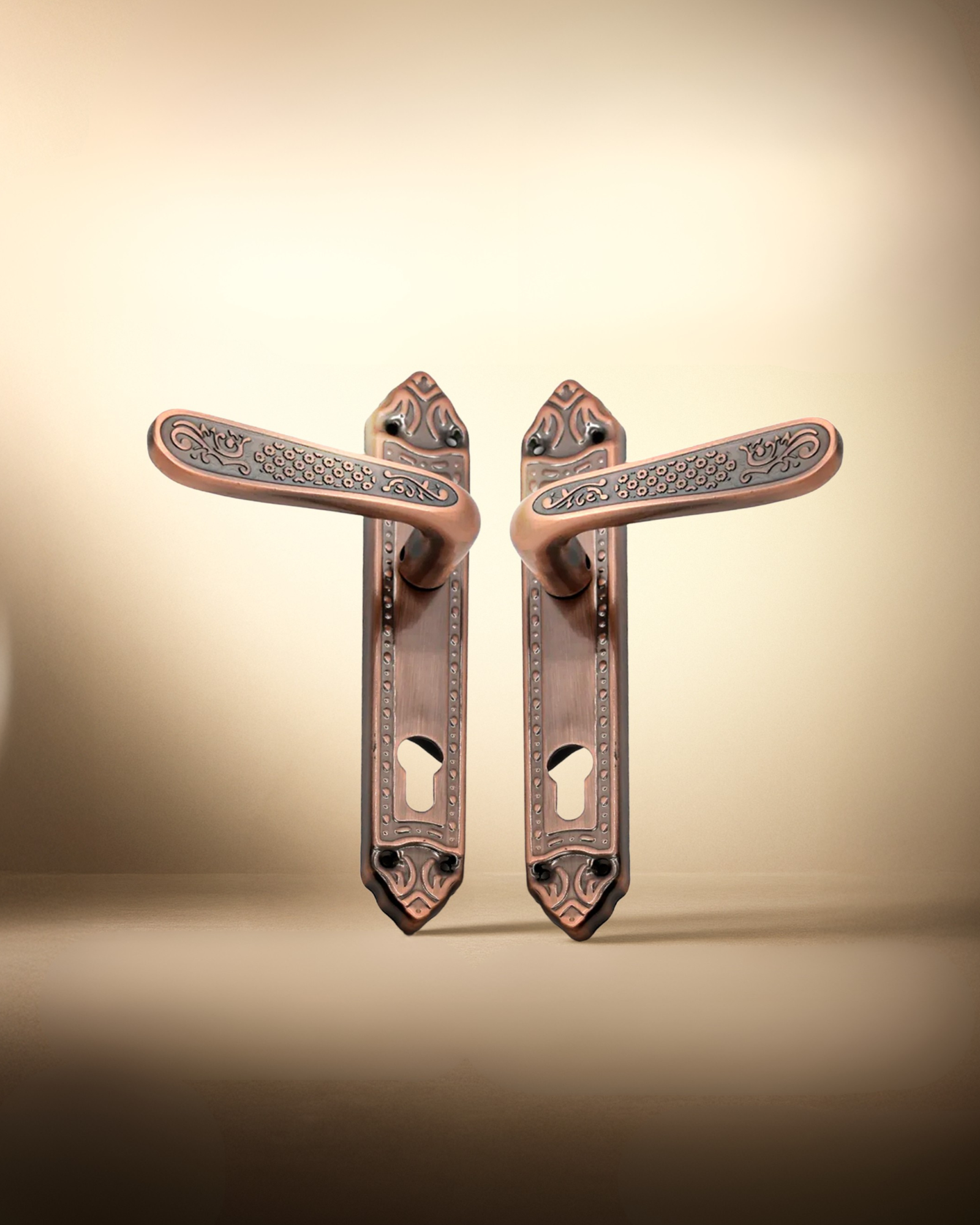 Door Hardware and Locking System